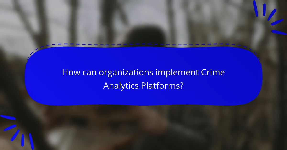 How can organizations implement Crime Analytics Platforms?