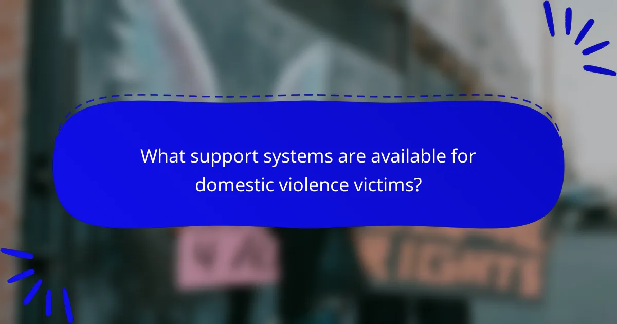 What support systems are available for domestic violence victims?