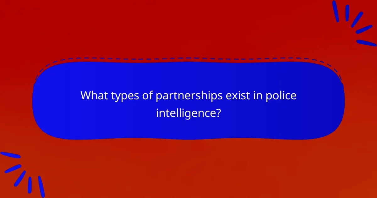 What types of partnerships exist in police intelligence?
